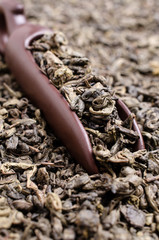 Fermented dry green tea leaves.