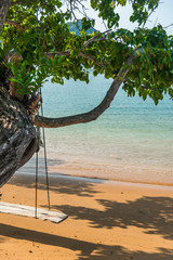Empty wood swing hang on tree near the beach