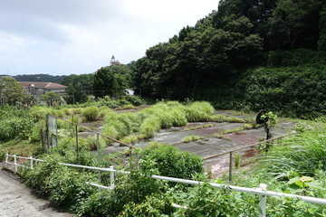 廃墟になったテニスコート（バスケット場）abandoned play ground