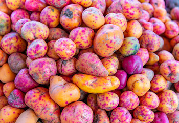 Olluco (Ullucus tuberosus), a tuber from the Andes mountains of South America, mainly Ecuador, Peru and Bolivia. Known as melloco or papa lisa. Photographed on a local vegetable market of Cusco, Peru.