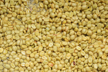 Coffee beans,In the ferment and wash method of wet processing