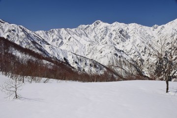 Fototapeta na wymiar Hakuba Goryu snow resort, Nagano, Japan