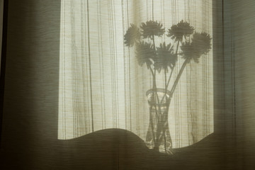 Abstraction, background silhouettes of flowers in a vase. Shadow of objects through the curtains on the window.