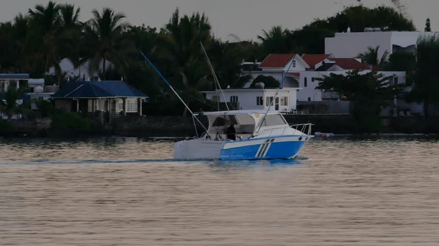 A spor fishing boat leaving the pier at sunrise. The boat is white and blue, and it&acute;s sailing near some houses surrounded by trees