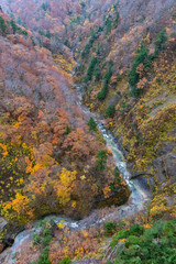 Autumn foliage scenery. Aerial view of valley and stream in fall season. Colorful forest trees background in red, orange, and golden colors