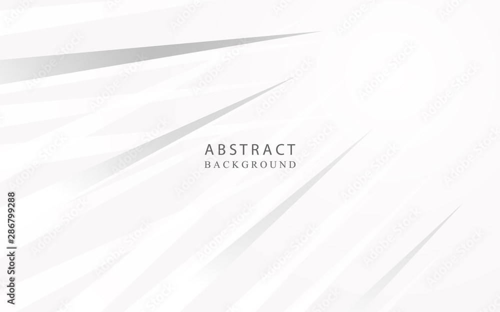 Poster abstract white and gray geometric background with silver light. modern concept vector design templat