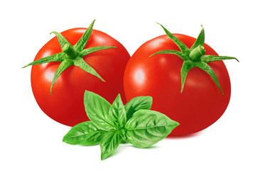 Tomatoes and basil isolated on white background