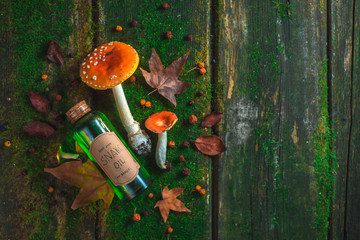 Red poisonous mushrooms on a wooden table with a bottle of Snake Oil, moss, and leaves. Fake...