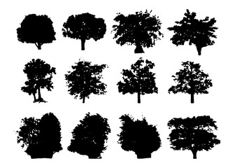  isolated of trees on the white background.Trees silhouette.Vector EPS 10.