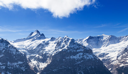 Fototapeta na wymiar Sky cliff walk at First peak of Alps mountain Grindelwald Switzerland with jungfrau , eiger , monch peak
