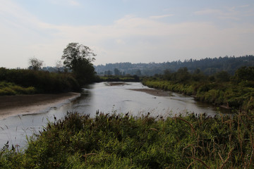 A river with low water