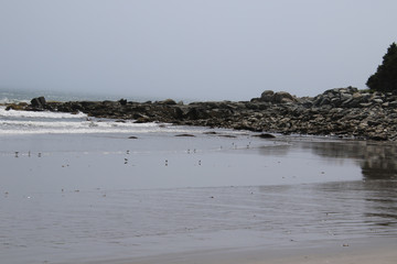 Fototapeta na wymiar An outcropping of rock with a beach