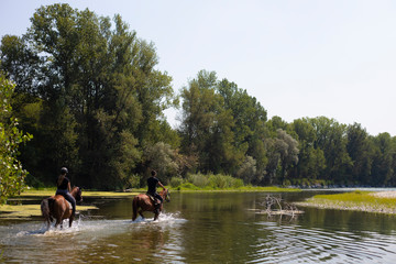 two people wading Ticino river on horseback at Bernate Ticino, lombardia, Italy.