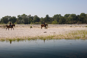 two people horseback riding along Ticino river at Bernate Ticino, lombardia, Italy.