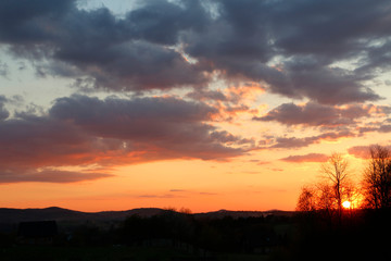Trees and sunset in the background.