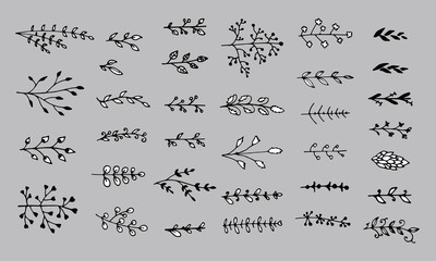 Set of floral elements isolated on grey background. Hand drawn leaves for unique design. Doodle nature