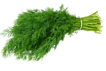 bunch of dill isolated on white background