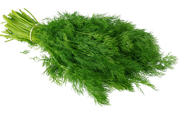 bunch of dill isolated on white background