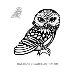 Owl. Owl hand drawn vector illustration. Owl sketch drawing. Part of set.