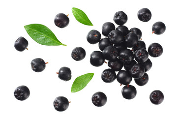 Chokeberry with green leaves isolated on white background. Black aronia. Top view.