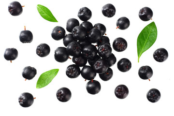 Chokeberry with green leaves isolated on white background. Black aronia. Top view.