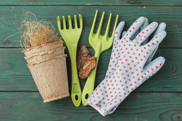 Gardening accessories on a rustic wooden background