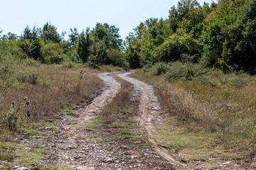 Fototapeta na wymiar Rural Wavy Dirt Road Going Into Forest