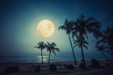 Romantic night scene - beautiful fantasy tropical beach with star and full moon in night skies.