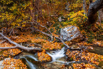Beautiful autumn landscape with a waterfall in the autumn forest.