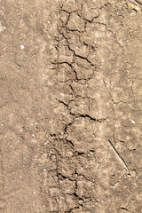 Fototapeta premium Embossed Wheel Tracks Into Rural Dirt Road