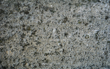 Rock Stone Texture Material  Wall