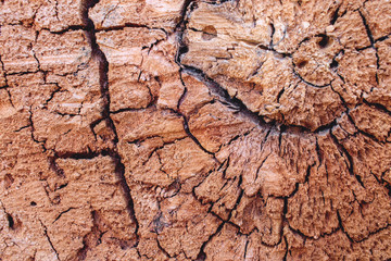abstract background of old wood. cracked wood close-up. wood texture.