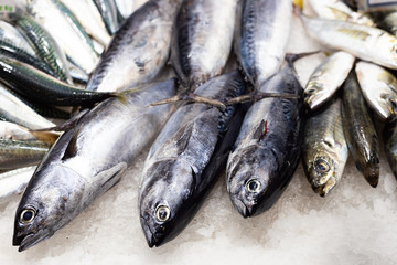pescado crudo fresco con hielo en el mercado