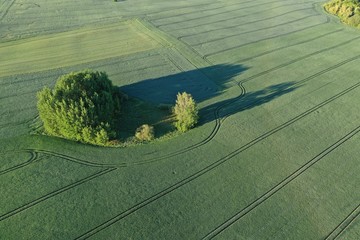Aerial view of the large green field in spring season