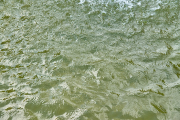  texture background of water surface                    