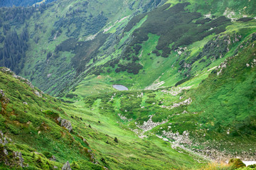 Fototapeta premium small lake in a green mountain gorge on the top of mountain ridge