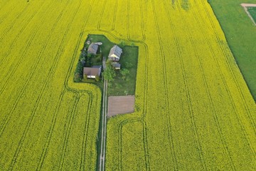 Homestead on yellow spring time rapeseed field, aerial