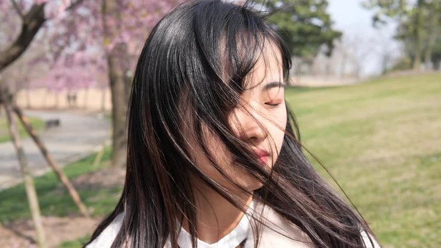 Headshot of beautiful Chinese young woman in white coat with pink cherry blossoms background, eyes closed and enjoy the breeze to blow her black long hair, beauty in spring, 4k, slow motion.