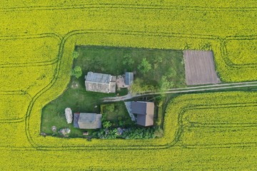 Homestead on yellow spring time rapeseed field, aerial view