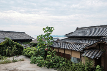 Fototapeta na wymiar 古くからある日本の瓦屋根