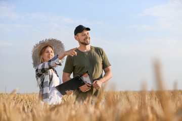 Farmers in field on sunny day