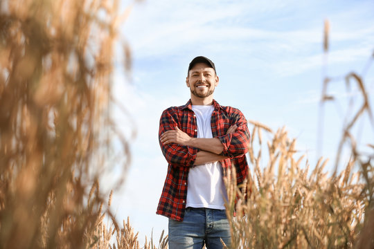 Farmer in field on sunny day