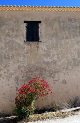old window with red flowers medieval well from a Greek Orthodox monastery in Zakynthos island