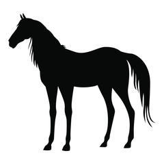 Vector illustrations of silhouette of a horse