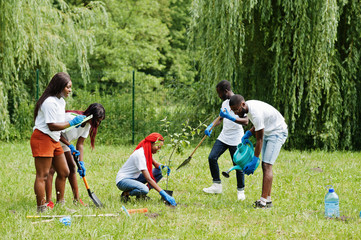 Obraz na płótnie Canvas Group of happy african volunteers planting tree in park. Africa volunteering, charity, people and ecology concept.