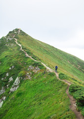 Fototapeta na wymiar unrecognizable hiker on the trail to the peak of green mountain ridge