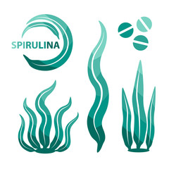 Spirulina seaweeds design elements. Underwater detox food.