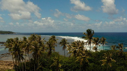 Coastline island with palm trees and the beach at low tide. Blue ocean and waves. Siargao, Philippines.