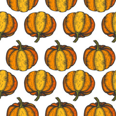 Pumpkin Drawing Print. Holiday Harvest Vegetable. Halloween Background 