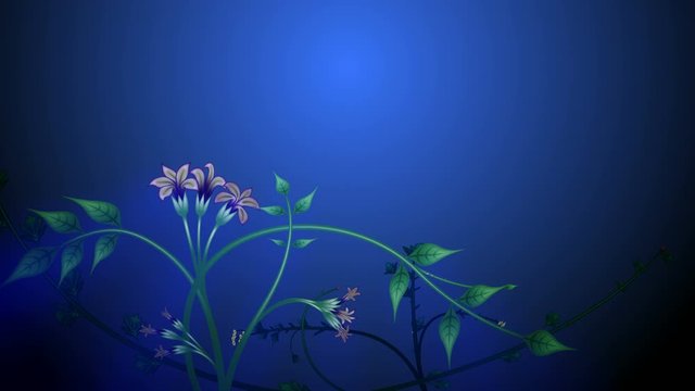 Growing plants and vines at night. Pack of 3 animations. Two of the animations have a copy space area for your logo, text or titles.
